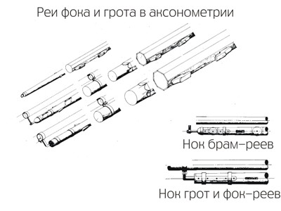 фрагмент из анатомии